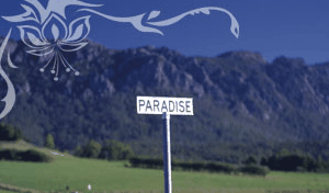 Glencoe Country Bed And Breakfast - Northern Rivers Accommodation 2