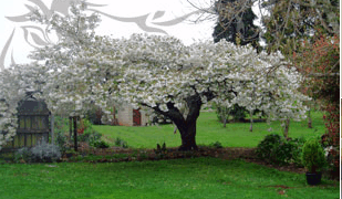 Glencoe Country Bed And Breakfast - Northern Rivers Accommodation 3