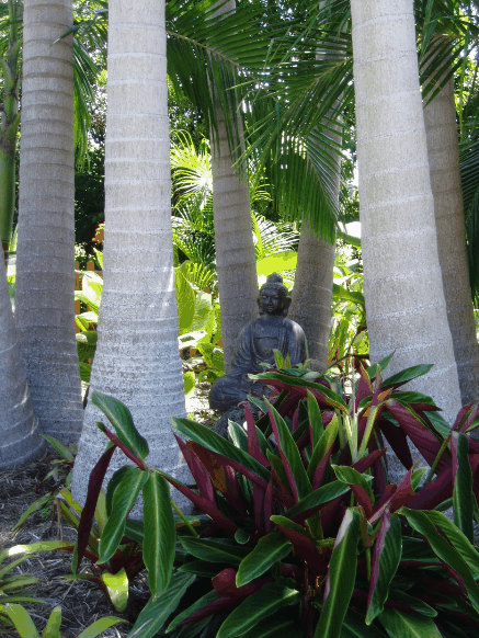 Amber Gardens Guesthouse - Northern Rivers Accommodation 3