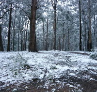 High Peaks Cottages - Northern Rivers Accommodation