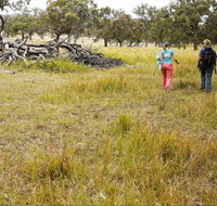 Carnarvon National Park camping - Northern Rivers Accommodation