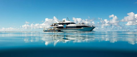 Bundaberg To Lady Musgrave Island Day Cruise - Northern Rivers Accommodation 0