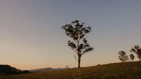 Faulls Ridge Winery - Northern Rivers Accommodation 0