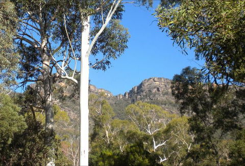 Gang Gang Villas - Northern Rivers Accommodation 4