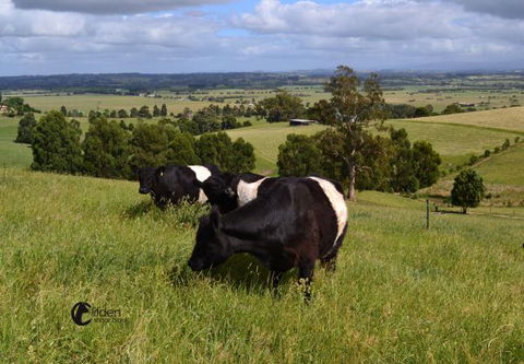 Clifden Cottage - Northern Rivers Accommodation 6