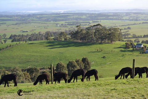 Clifden Cottage - Northern Rivers Accommodation 7