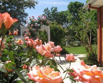 The Clarenton - Northern Rivers Accommodation 0