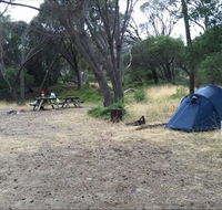 Allports Beach Camping Ground - Northern Rivers Accommodation