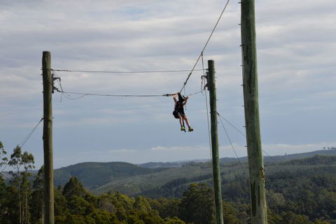 Allambee Camp - Northern Rivers Accommodation 3