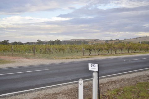 Almond Tree Cottage - Northern Rivers Accommodation 5