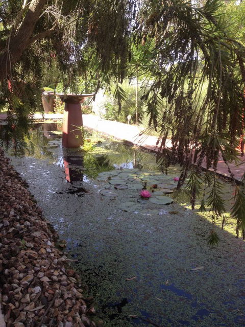 Artrocks Artist Retreat & Accommodation - Northern Rivers Accommodation 1