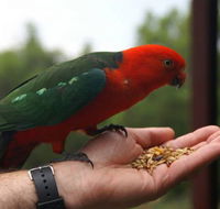 Barrington Tops Escapes - Northern Rivers Accommodation