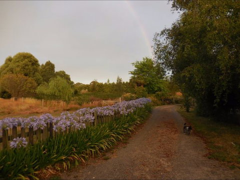Bunjil Farm - Northern Rivers Accommodation 5