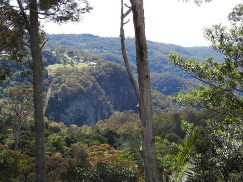 Mt Tamborine Motel - Northern Rivers Accommodation 0