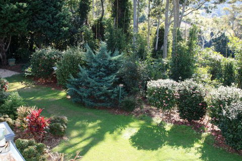 Mt Tamborine Motel - Northern Rivers Accommodation 1