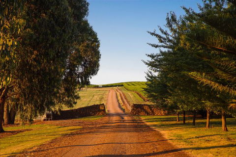 Mt Bellevue Lodge - King Valley - Northern Rivers Accommodation 3
