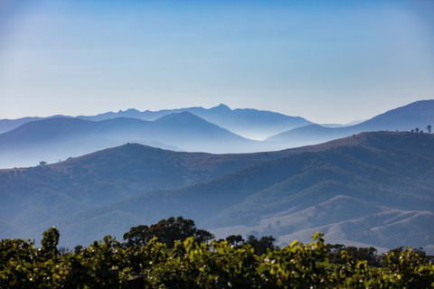 Mt Bellevue Lodge - King Valley - Northern Rivers Accommodation 4