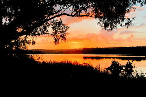 Riverview Rise Retreats - Northern Rivers Accommodation 8