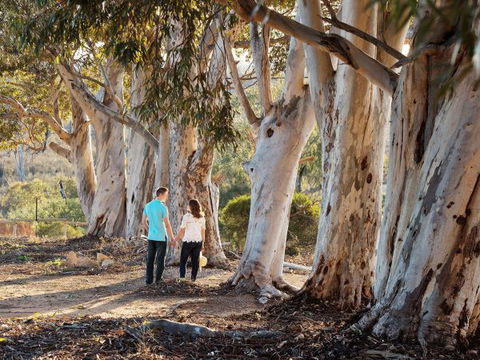 Rilli Retreat - Northern Rivers Accommodation 3