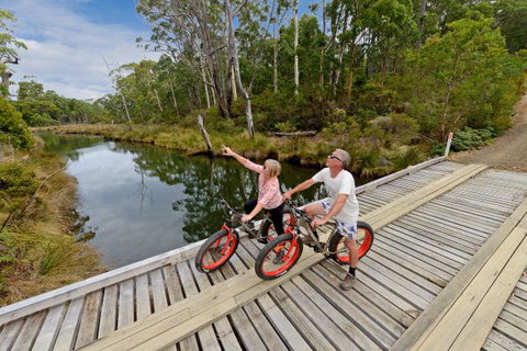 Saintys Creek Cottage - Northern Rivers Accommodation 6
