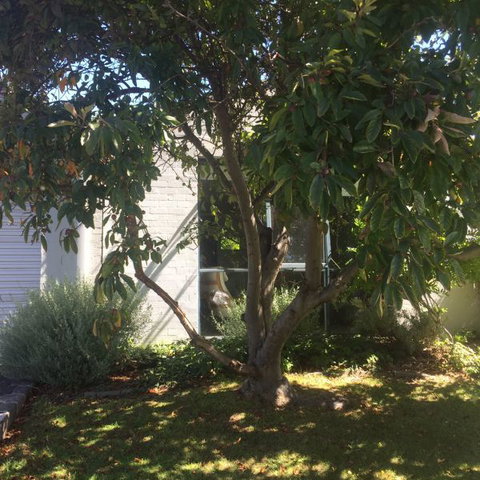Sea-Ena - Northern Rivers Accommodation 2