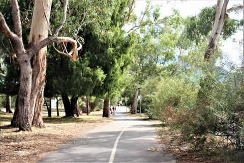 Sundial Holiday Apartments - Northern Rivers Accommodation 5