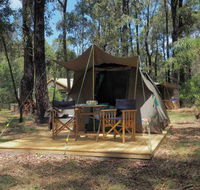 Tall Trees Camping on the Great Ocean Road - Northern Rivers Accommodation