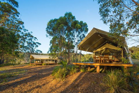 Tanja Lagoon Camp - Northern Rivers Accommodation 0