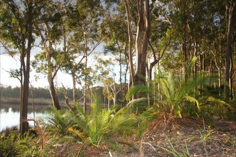 Tanja Lagoon Camp - Northern Rivers Accommodation 7