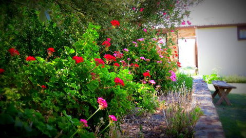 The Pig And Whistle - Northern Rivers Accommodation 4