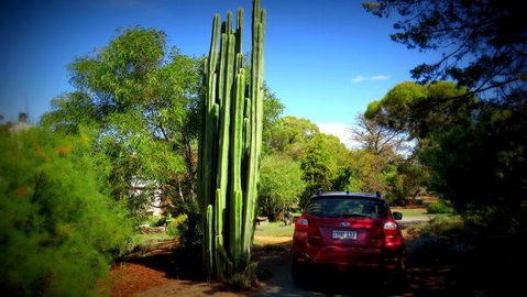 The Pig And Whistle - Northern Rivers Accommodation 6