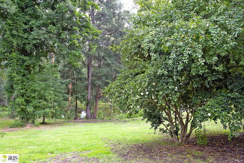 The Maples - Northern Rivers Accommodation 8