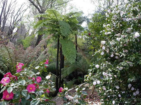 Adelaide Hills B&B Accommodation - Northern Rivers Accommodation 3