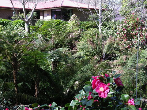 Adelaide Hills B&B Accommodation - Northern Rivers Accommodation 6