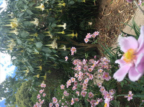 Adelaide Hills B&B Accommodation - Northern Rivers Accommodation 7