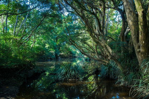 All About Me Bed And Breakfast - Northern Rivers Accommodation 9