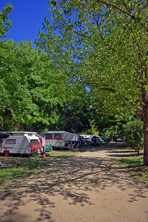 Ardern's Caravan Park Myrtleford - Northern Rivers Accommodation 1