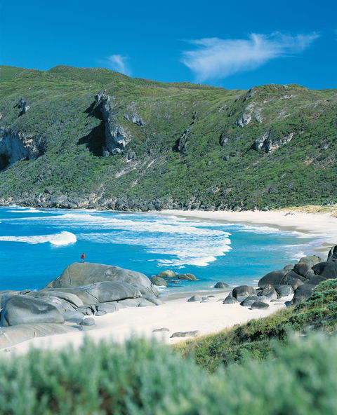 Banksia Camp At D'Entrecasteaux National Park - Northern Rivers Accommodation 0