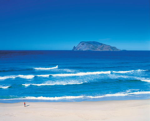 Banksia Camp At D'Entrecasteaux National Park - Northern Rivers Accommodation 1