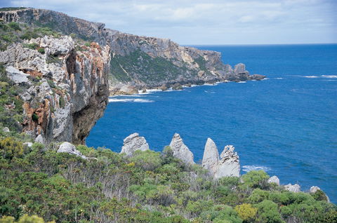 Banksia Camp At D'Entrecasteaux National Park - Northern Rivers Accommodation 2
