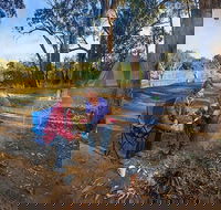 Benarca campground