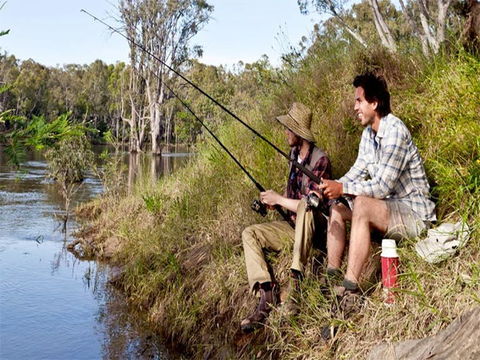 Benarca Campground - Northern Rivers Accommodation 1