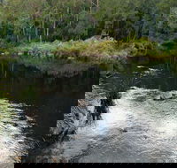 Cod Hole campground and picnic area - Northern Rivers Accommodation
