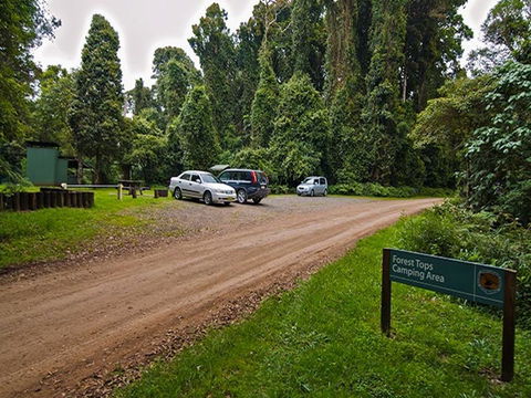 Forest Tops Campground - Northern Rivers Accommodation 1