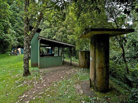 Forest Tops Campground - Northern Rivers Accommodation 3