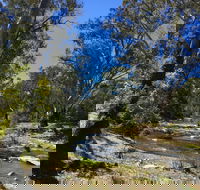 Highfield Farm and Woodland Bush Campsites - Northern Rivers Accommodation