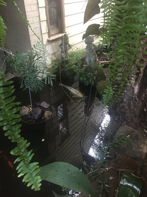 HJapartments - Northern Rivers Accommodation 4