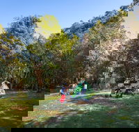 Hobart Beach campground - Northern Rivers Accommodation
