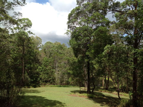 Maleny Country Cottages - Northern Rivers Accommodation 2