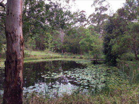 Maleny Country Cottages - Northern Rivers Accommodation 3